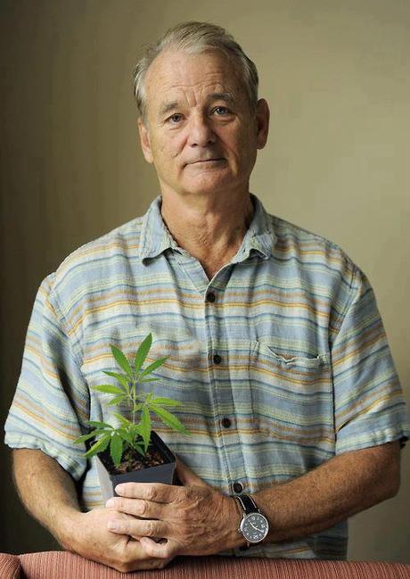 Bill Murray speaks about his ‘heavy heart’ over Paris and San Bernardino massacres – then introduces gun-heavy ‘Rock the Kasbah’ movie bill murray