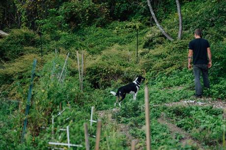 Putting the Farm to Rest for the Winter Putting the Farm to Rest // www.WithTheGrains.com