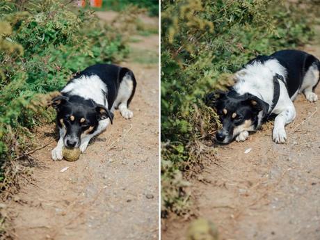 Putting the Farm to Rest for the Winter Putting the Farm to Rest // www.WithTheGrains.com