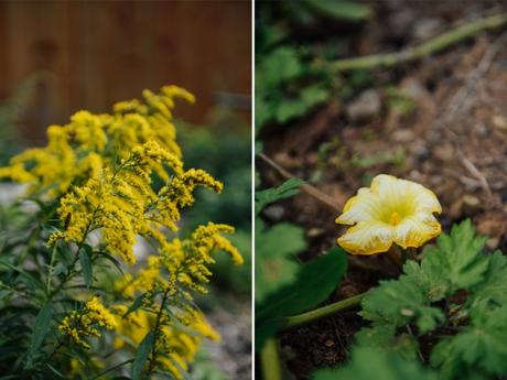 Putting the Farm to Rest for the Winter Putting the Farm to Rest // www.WithTheGrains.com