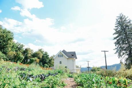 Putting the Farm to Rest for the Winter Putting the Farm to Rest // www.WithTheGrains.com