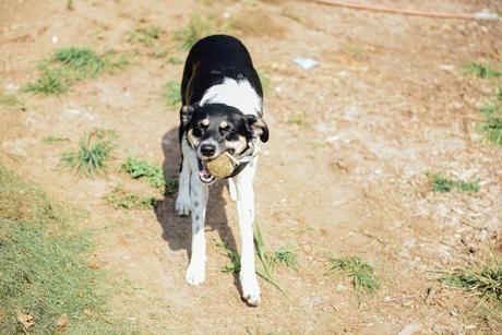 Putting the Farm to Rest for the Winter Putting the Farm to Rest // www.WithTheGrains.com