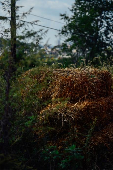 Putting the Farm to Rest for the Winter Putting the Farm to Rest // www.WithTheGrains.com