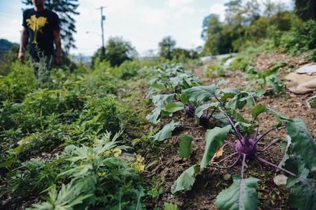 Putting the Farm to Rest for the Winter Putting the Farm to Rest // www.WithTheGrains.com