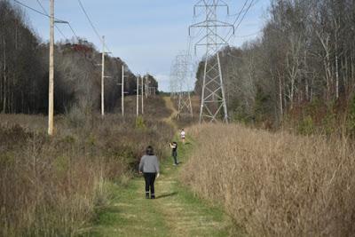 Walking the Trails in JOHNSTON MILL NATURE PRESERVE, Durham, NC