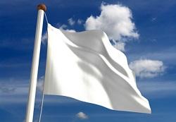 White Flag1