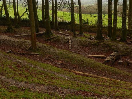 Visiting Dyrham Park (Part 3) Visiting Dyrham Park (Part 3)