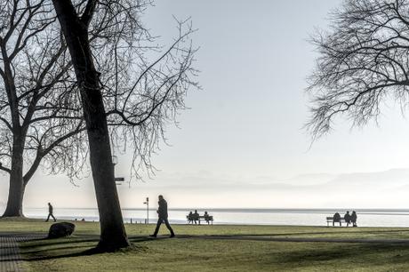 Peace of mind _DSC3839