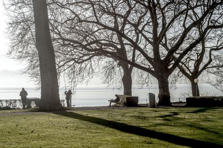 Peace of mind _DSC3861