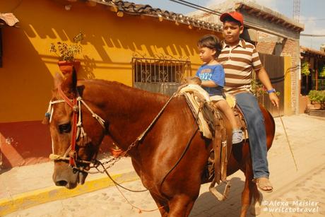 el-quelite-mazatlan-mexico-horse-on-street