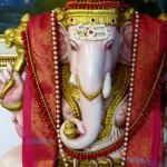 A welcome look by ganesha
