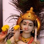 Lord Krishna's playful smile