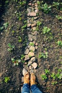 A Year With The Grains / Farewell 2015 A Year With The Grains / Farewell 2015