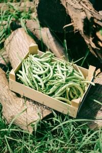 A Year With The Grains / Farewell 2015 A Year With The Grains / Farewell 2015