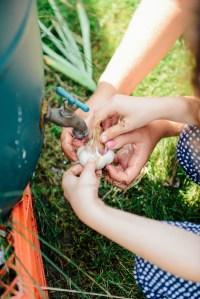 A Year With The Grains / Farewell 2015 A Year With The Grains / Farewell 2015