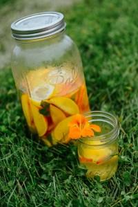 A Year With The Grains / Farewell 2015 A Year With The Grains / Farewell 2015