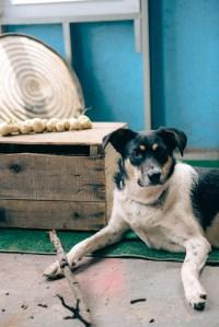 A Year With The Grains / Farewell 2015 A Year With The Grains / Farewell 2015