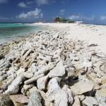 Sandy-Island-Anguilla (3)