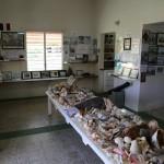 heritage-museum-anguilla (2)