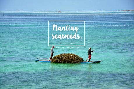 Lilpink Travels: Fun Things To Do in Tawi-Tawi
