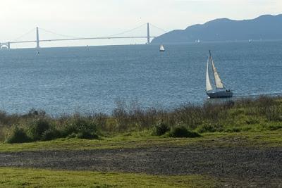WALK BY THE BAY at McLaughlin Eastshore State Park, San Francisco Bay, CA