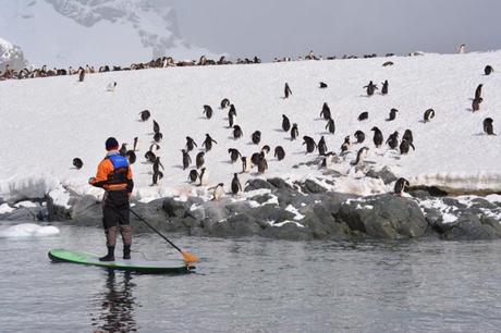 Stand Up Paddleboarding (SUP) in Antarctica