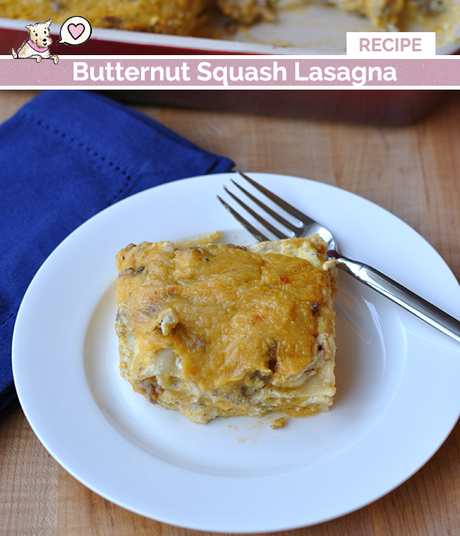 butternut-squash-lasagna-recipe