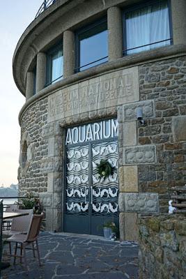 From Bric-a-Brac to Aquarium in Dinard