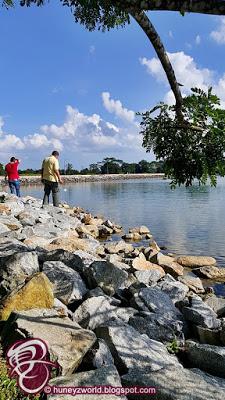 Weekends Are For Monkey Business Weekends Are For Monkey Business