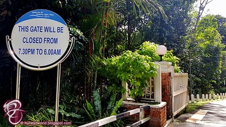 Weekends Are For Monkey Business Weekends Are For Monkey Business