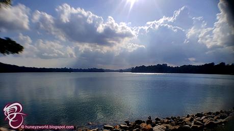 Weekends Are For Monkey Business Weekends Are For Monkey Business