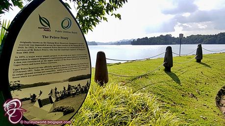 Weekends Are For Monkey Business Weekends Are For Monkey Business