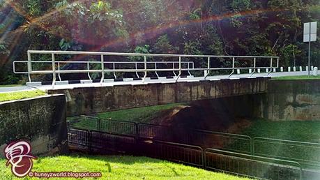 Weekends Are For Monkey Business Weekends Are For Monkey Business