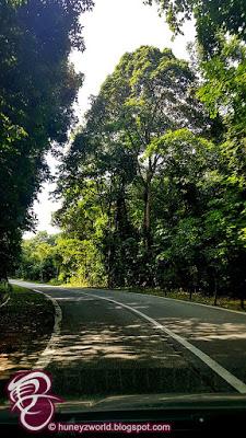 Weekends Are For Monkey Business Weekends Are For Monkey Business