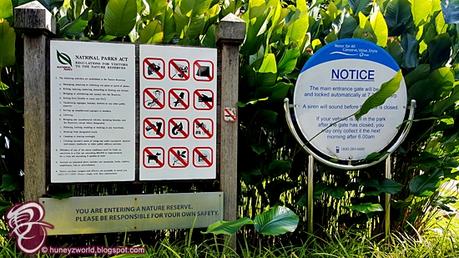 Weekends Are For Monkey Business Weekends Are For Monkey Business