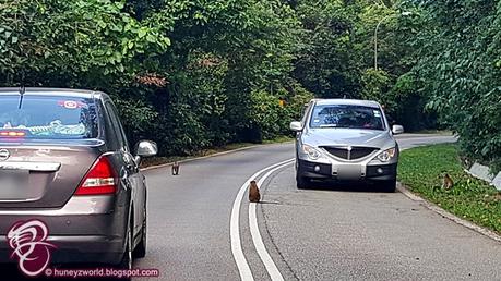 Weekends Are For Monkey Business Weekends Are For Monkey Business