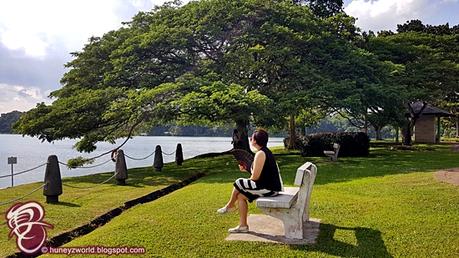 Weekends Are For Monkey Business Weekends Are For Monkey Business