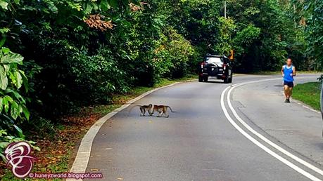 Weekends Are For Monkey Business Weekends Are For Monkey Business