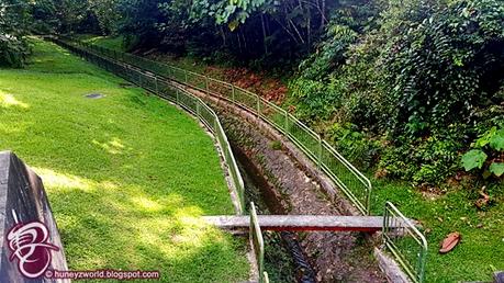 Weekends Are For Monkey Business Weekends Are For Monkey Business