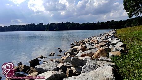 Weekends Are For Monkey Business Weekends Are For Monkey Business