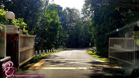 Weekends Are For Monkey Business Weekends Are For Monkey Business