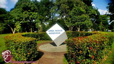 Weekends Are For Monkey Business Weekends Are For Monkey Business