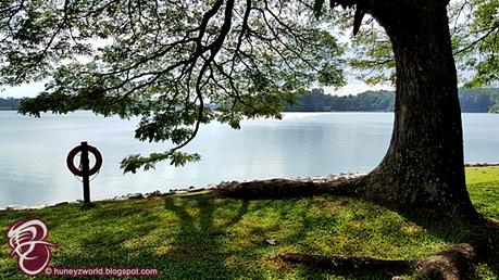 Weekends Are For Monkey Business Weekends Are For Monkey Business