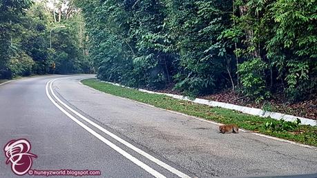 Weekends Are For Monkey Business Weekends Are For Monkey Business