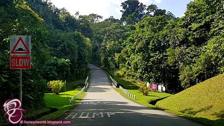 Weekends Are For Monkey Business Weekends Are For Monkey Business