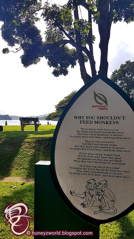 Weekends Are For Monkey Business Weekends Are For Monkey Business