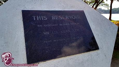 Weekends Are For Monkey Business Weekends Are For Monkey Business