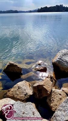 Weekends Are For Monkey Business Weekends Are For Monkey Business