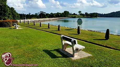 Weekends Are For Monkey Business Weekends Are For Monkey Business