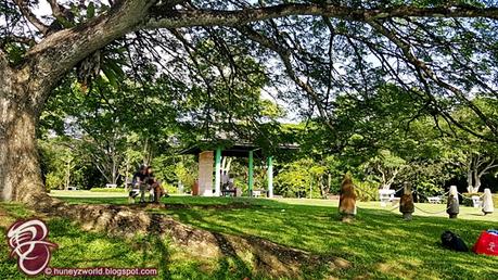 Weekends Are For Monkey Business Weekends Are For Monkey Business